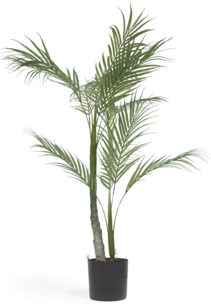 Palmera, Planta artificial, negro, H70x70x60 cm