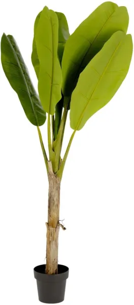 Banano, Planta artificial, verde/negro, H160x90x90 cm